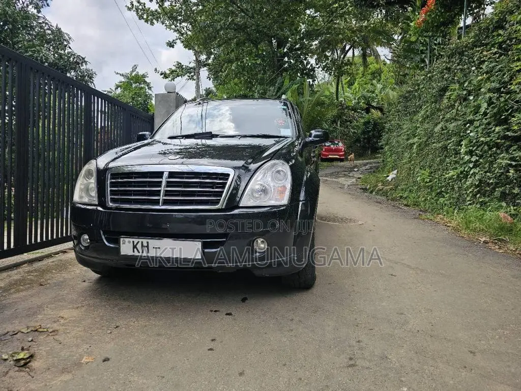 Micro Rexton 2009 SUV (Used)