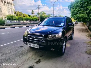Hyundai Santa Fe 2009 SUV (Used)