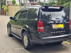 Micro Rexton 2009 SUV (Used)