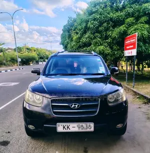 Hyundai Santa Fe 2009 SUV (Used)