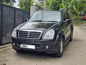 Micro Rexton 2009 SUV (Used)
