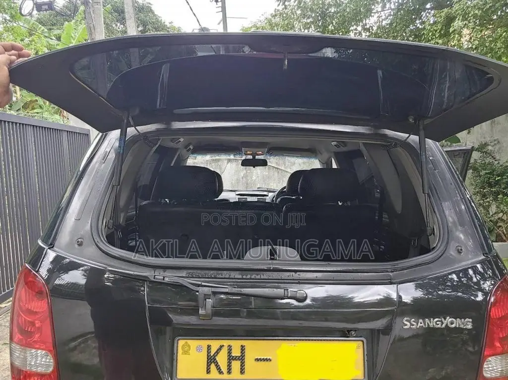 Micro Rexton 2009 SUV (Used)