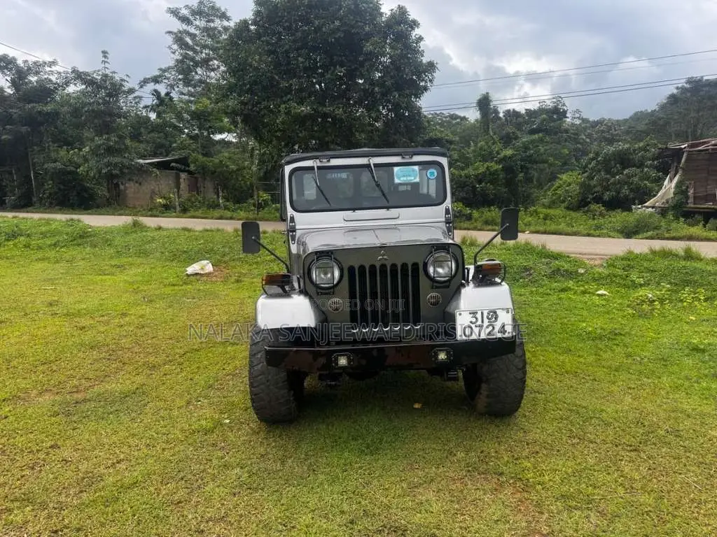 Mitsubishi 4DR5 1976 SUV (Used)