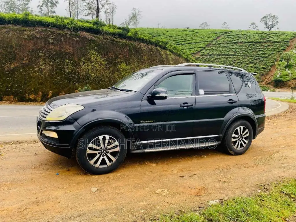 Micro Rexton 2013 SUV (Used)