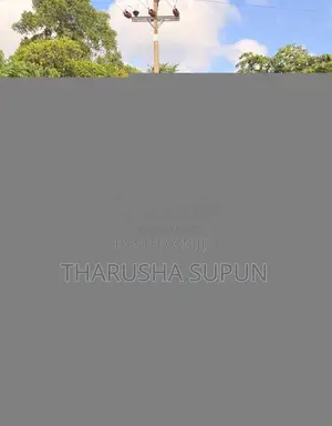 Toyota Raize 2024 SUV (Used)