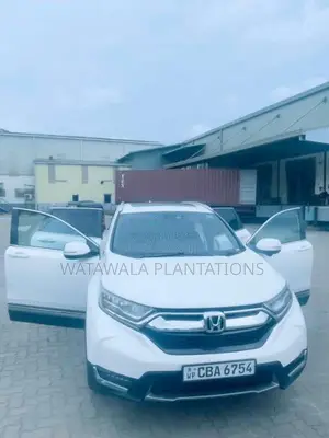 Honda CRV 2018 SUV (Used)