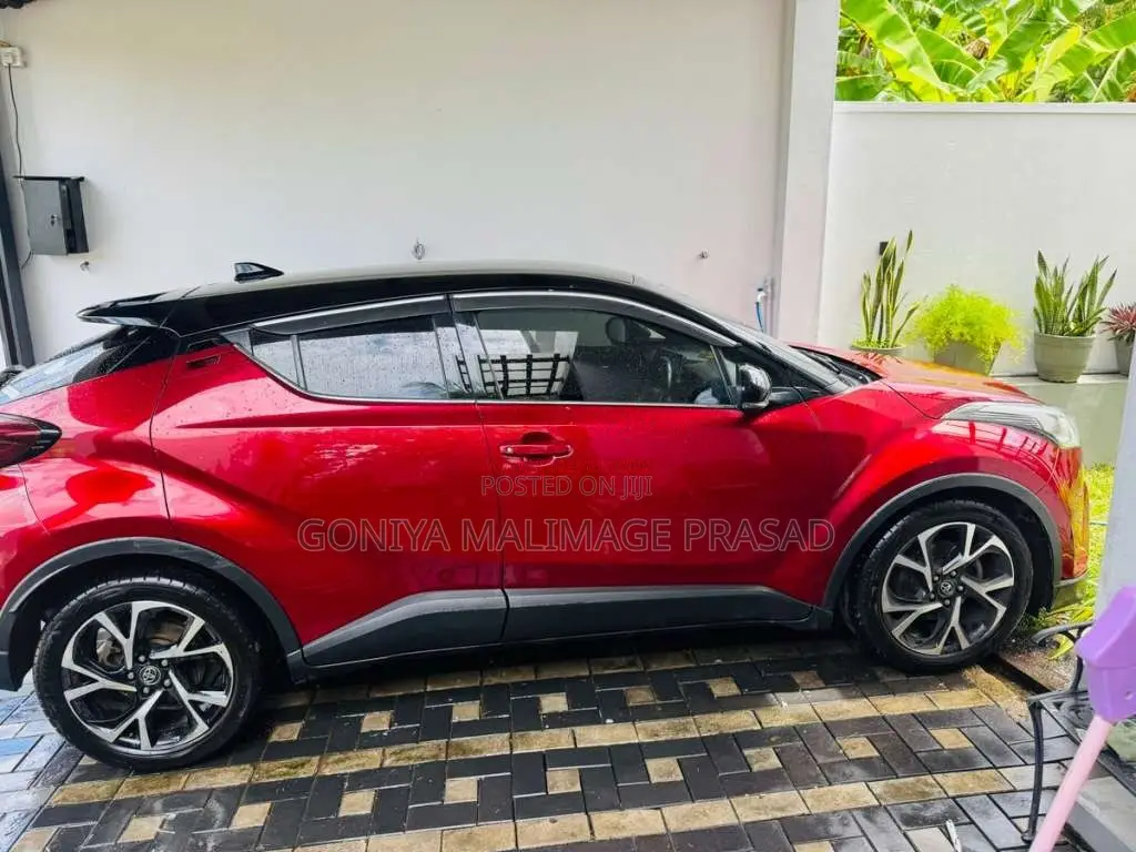 Toyota CHR 2018 SUV (Used)