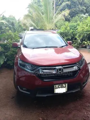 Honda CRV 2019 SUV (Used)