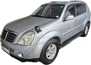 Micro Rexton 2009 SUV (Used)