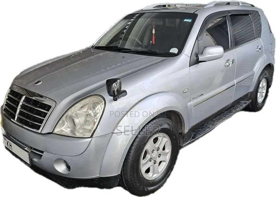 Micro Rexton 2009 SUV (Used)