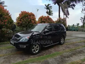 Honda CRV 2003 SUV (Used)