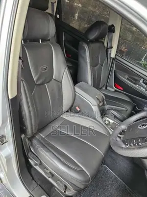 Micro Rexton 2009 SUV (Used)