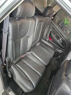 Micro Rexton 2009 SUV (Used)