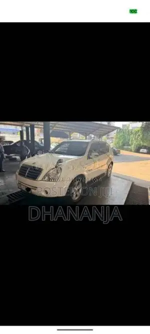 Micro Rexton 2009 SUV (Used)