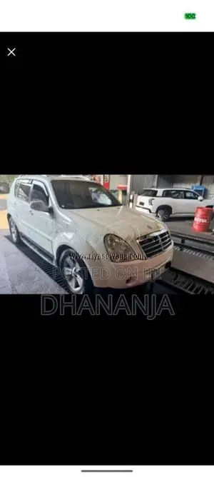 Micro Rexton 2009 SUV (Used)