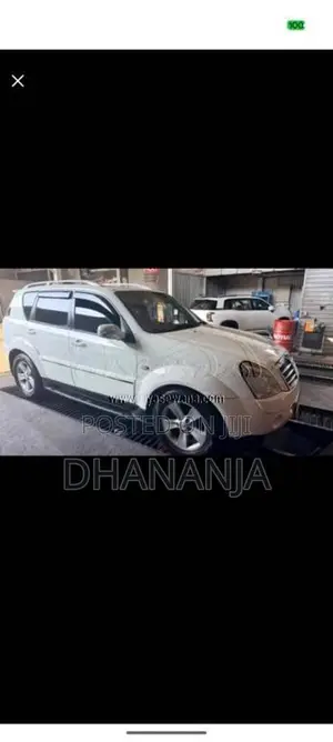 Micro Rexton 2009 SUV (Used)