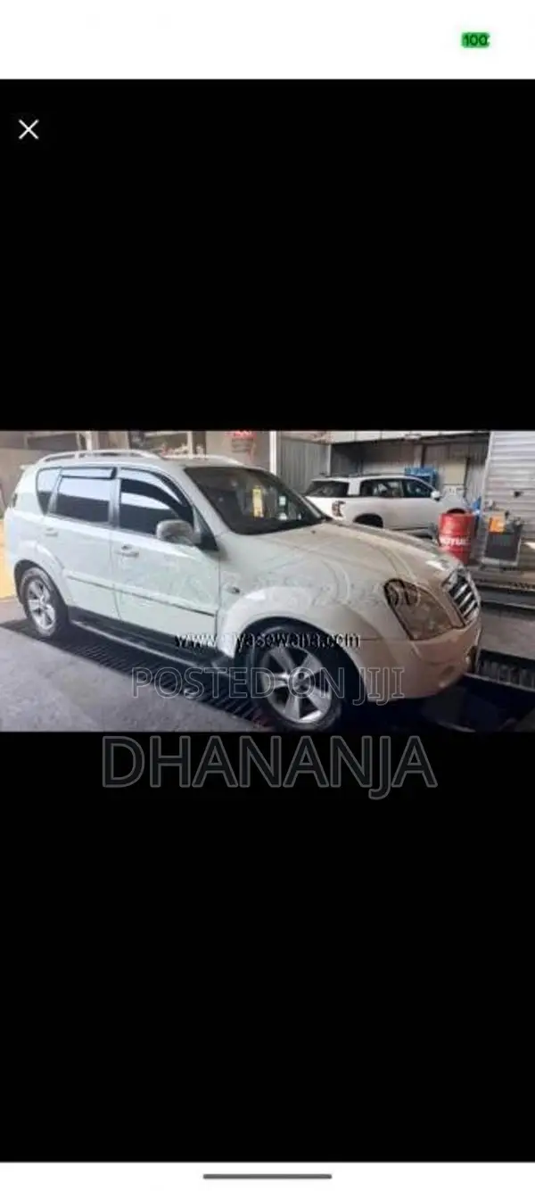 Micro Rexton 2009 SUV (Used)