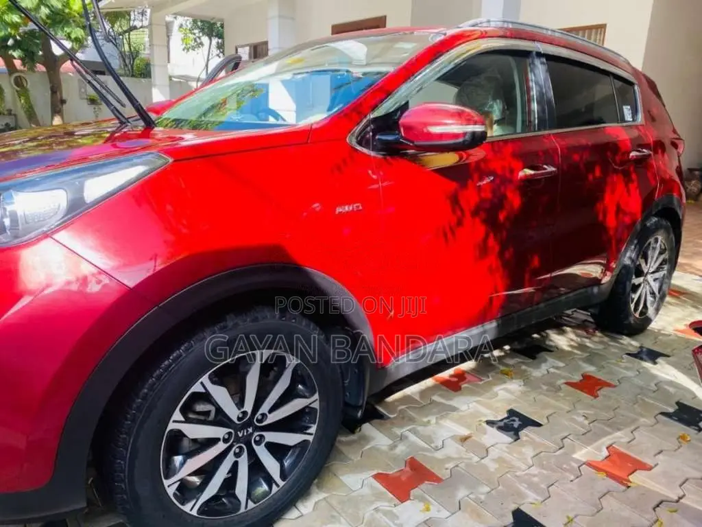 Kia Sportage 2016 SUV (Used)