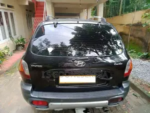 Hyundai Santa Fe 2003 SUV (Used)
