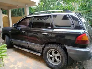 Hyundai Santa Fe 2003 SUV (Used)