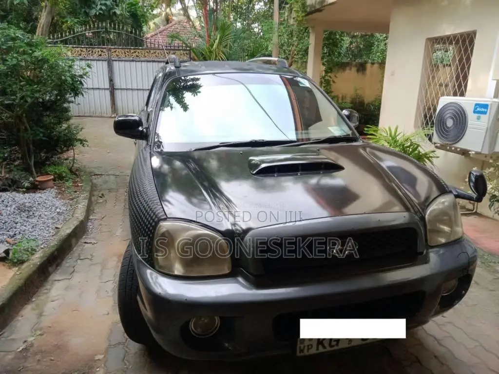 Hyundai Santa Fe 2003 SUV (Used)