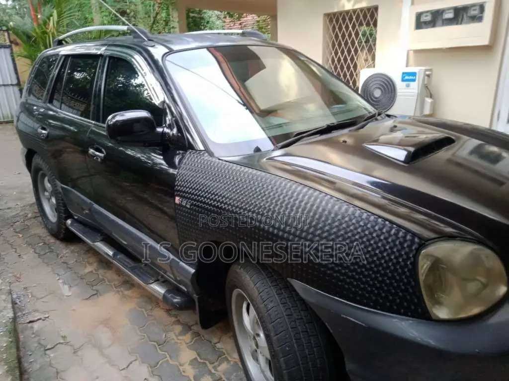 Hyundai Santa Fe 2003 SUV (Used)