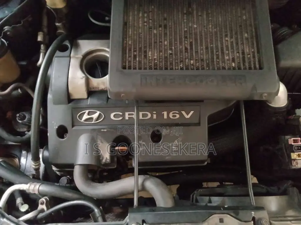 Hyundai Santa Fe 2003 SUV (Used)