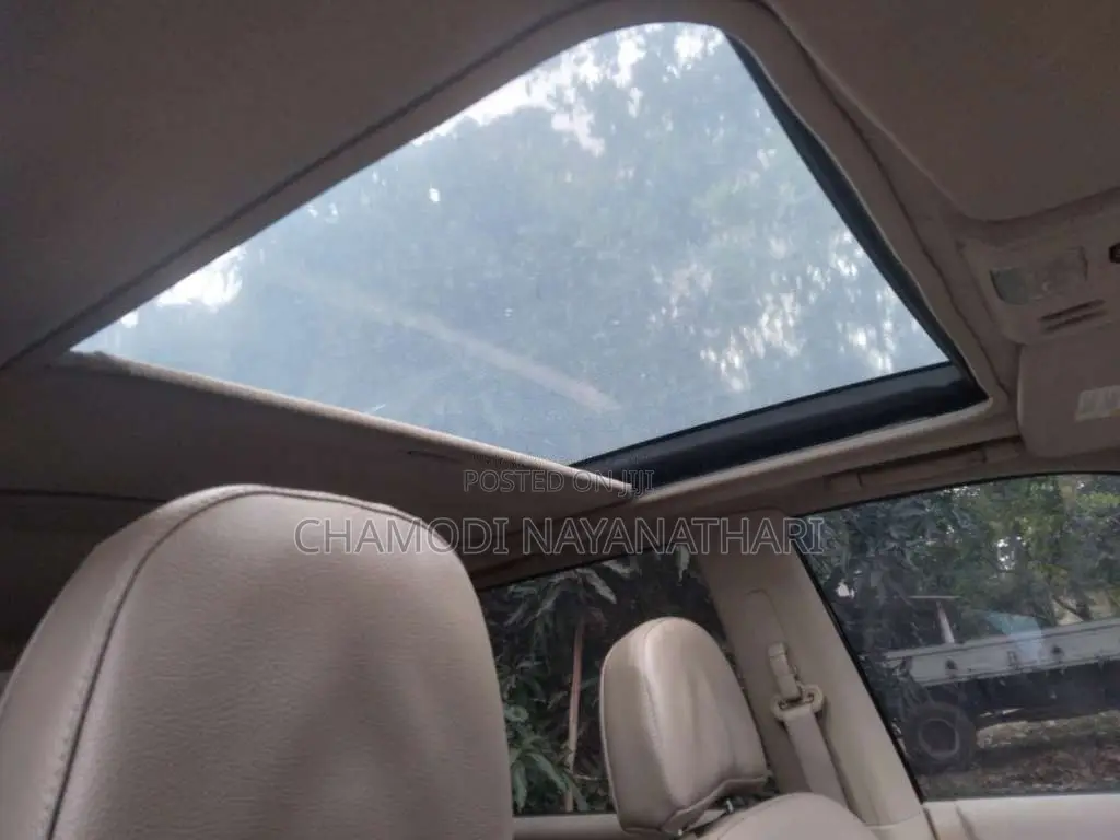 Nissan X-Trail 2005 SUV (Used)