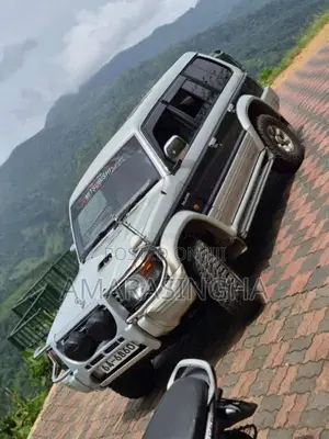 Mitsubishi Pajero 1995 SUV (Used)