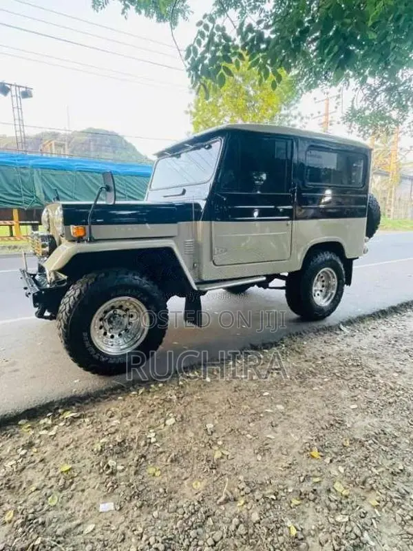 Mitsubishi 4DR 1977 SUV (Used)