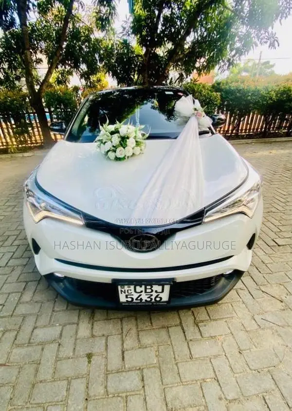 Toyota CHR 2019 SUV (Used)