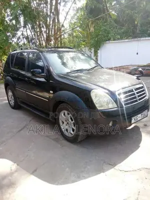 Micro Rexton 2007 SUV (Used)