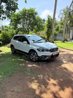 Suzuki S Cross 2019 SUV (Used)