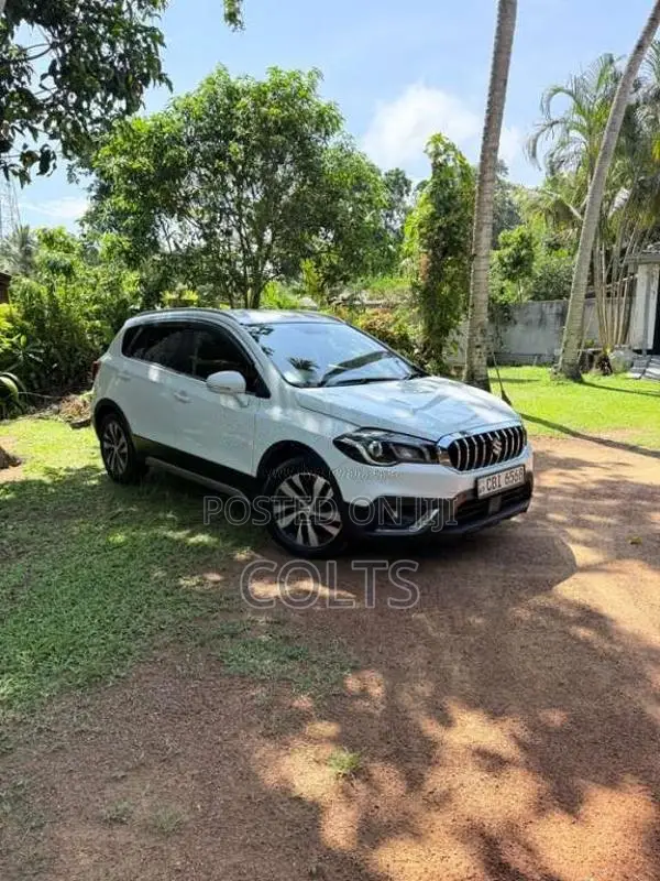 Suzuki S Cross 2019 SUV (Used)