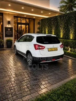 Suzuki S Cross 2019 SUV (Used)