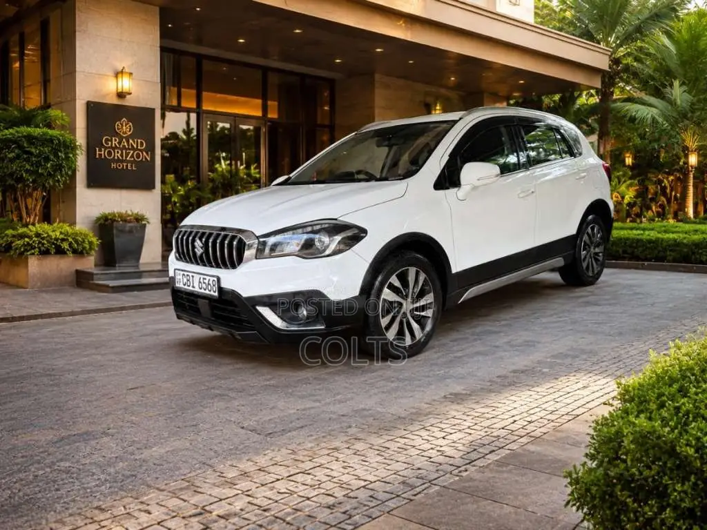 Suzuki S Cross 2019 SUV (Used)