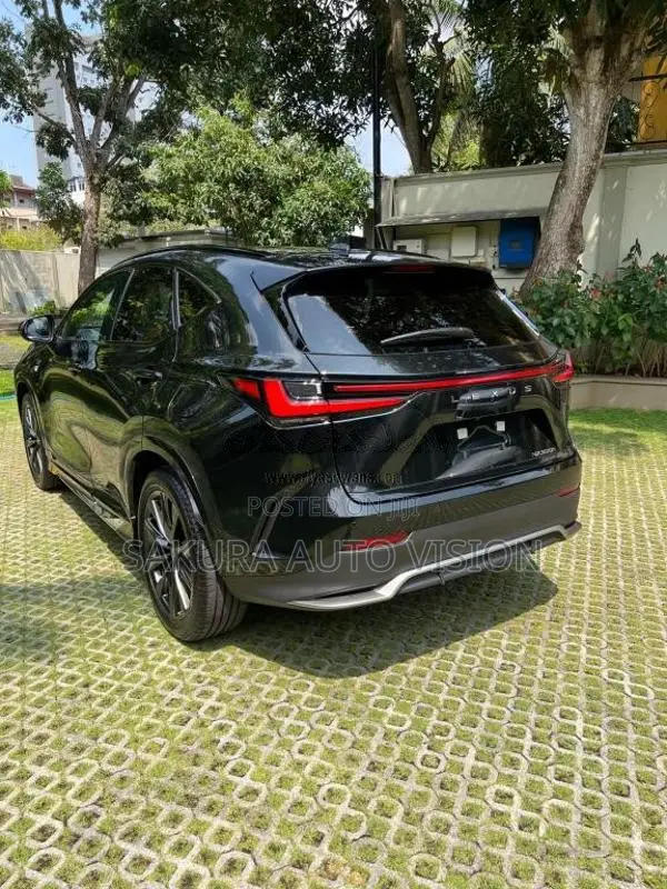 Lexus NX350H 2025 SUV (Used)