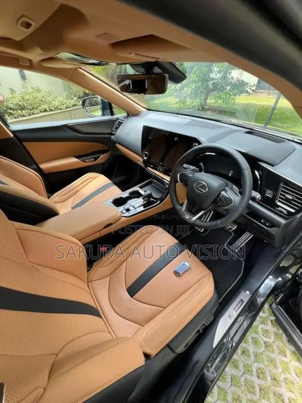 Lexus NX350H 2025 SUV (Used)