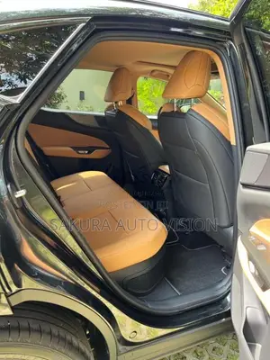 Lexus NX350H 2025 SUV (Used)