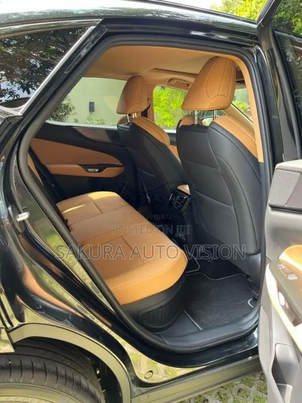 Lexus NX350H 2025 SUV (Used)