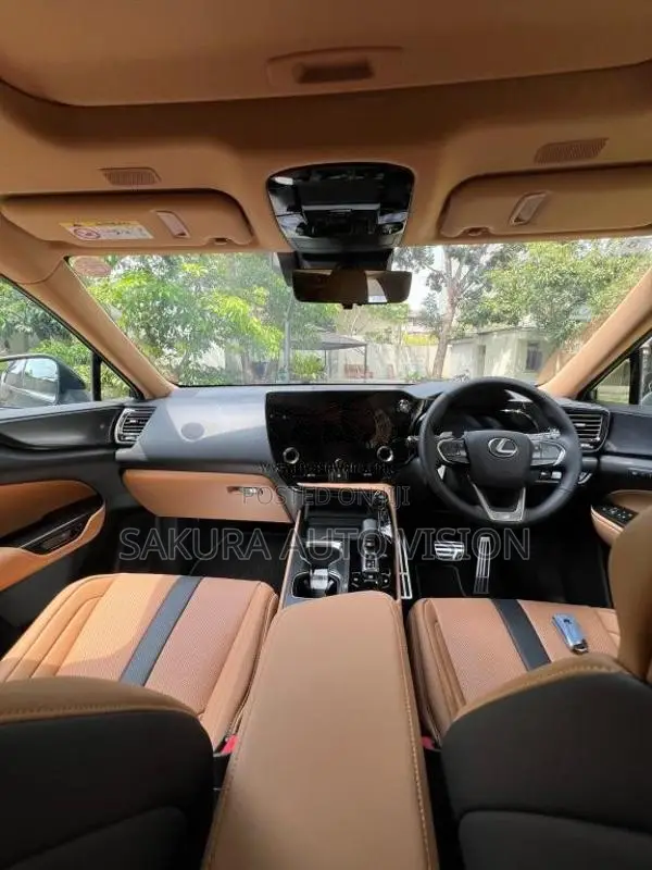 Lexus NX350H 2025 SUV (Used)