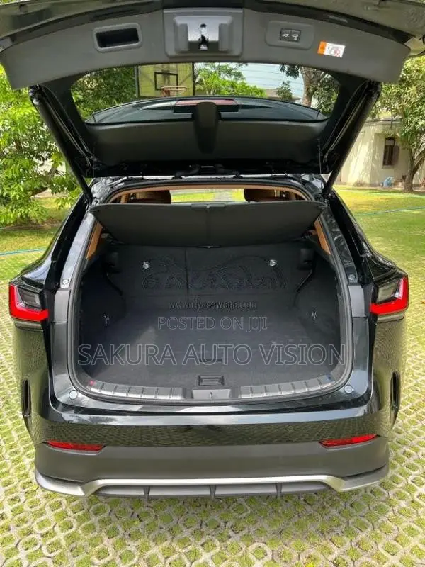 Lexus NX350H 2025 SUV (Used)