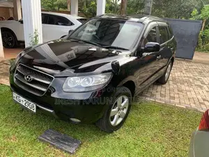 Hyundai Santa Fe 2006 SUV (Used)