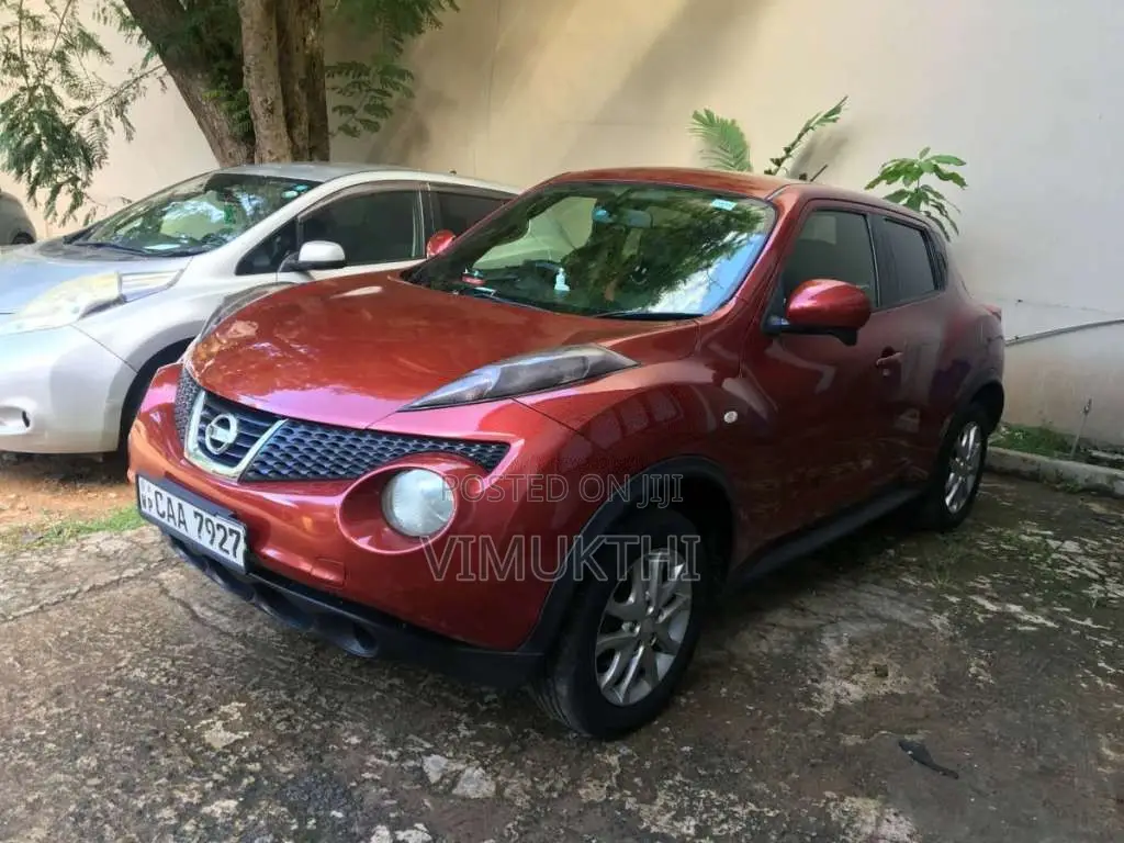 Nissan Juke 2013 SUV (Used)