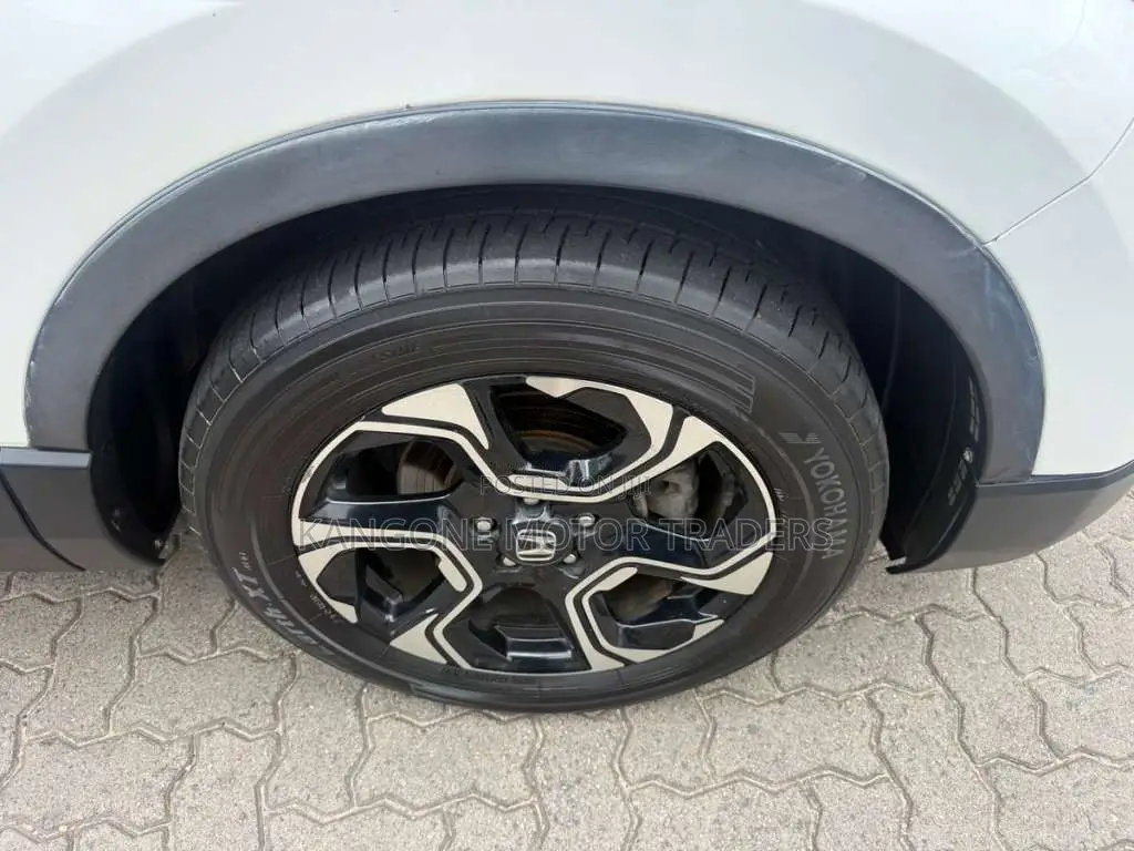 Honda CRV 2019 SUV (Used)