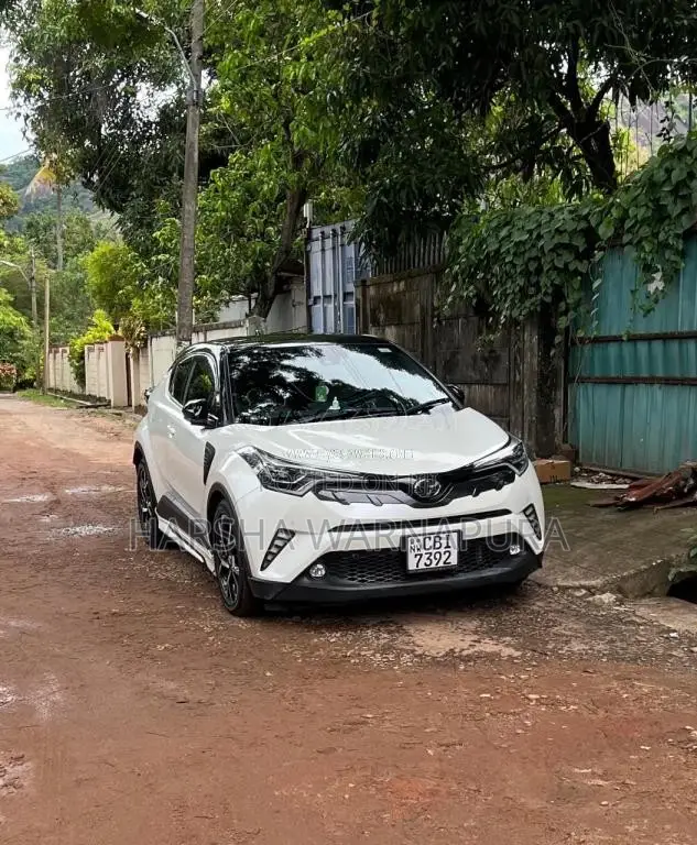 Toyota CHR 2019 SUV (Used)