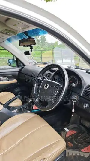Micro Rexton 2009 SUV (Used)