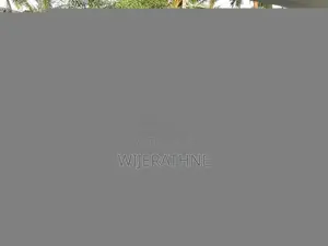 BYD Sealion 6 2025 SUV (Used)