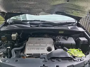 Lexus Rx 300 2003 SUV (Used)