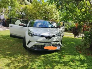 Toyota CHR 2019 SUV (Used)
